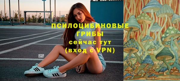 марки nbome Богородицк