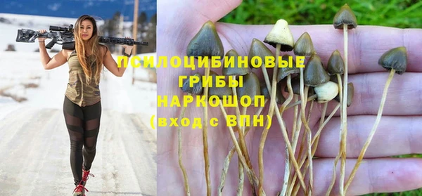марки nbome Богородицк